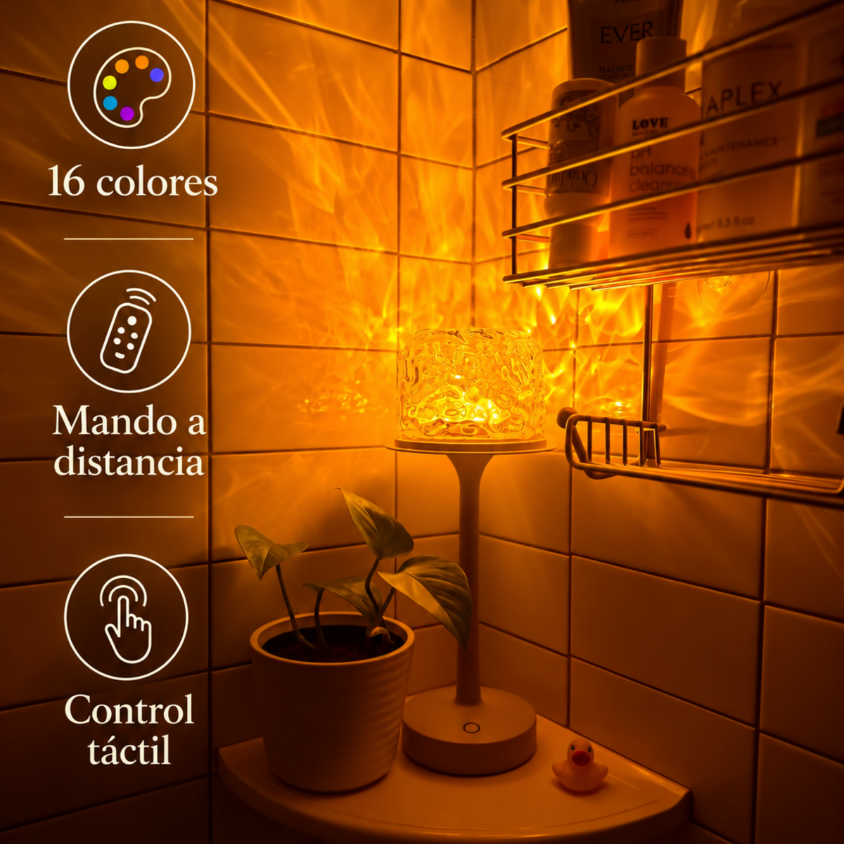 Strado® Aurora
